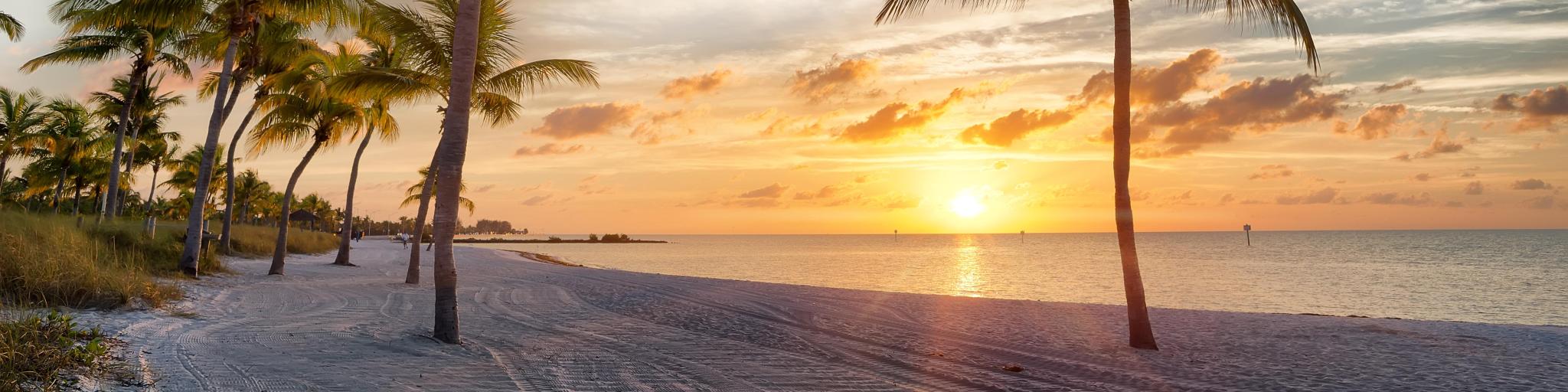 Sunrise on the Smathers Beach with palm trees - Key West, Florida