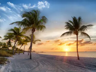 Sunrise on the Smathers Beach with palm trees - Key West, Florida
