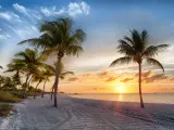 Sunrise on the Smathers Beach with palm trees - Key West, Florida