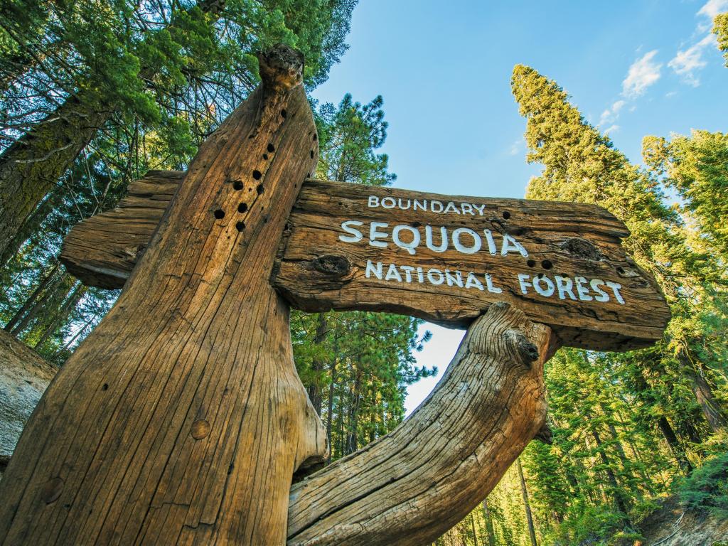 Sequoia National Forest Wooden Sign on the Sequoia National Park Road. California, United States.