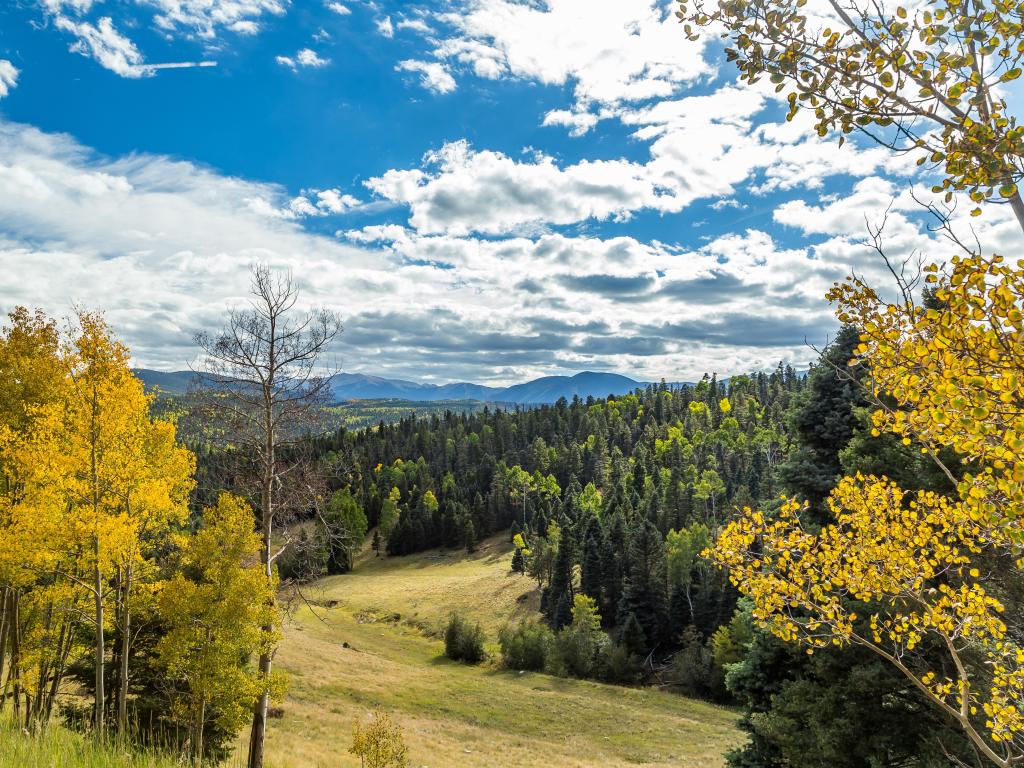 The Enchanted Circle Scenic Byway is an 84 mile New Mexico Scenic Byway and National Forest Scenic Byway around Wheeler Mountain located in Northern New Mexico. It begins and ends in Taos, New Mexico.