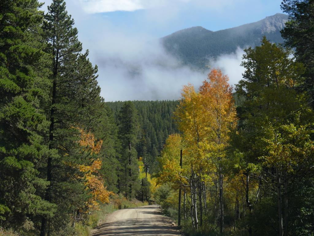 Side road full of trees at the Golden Gate Canyon State Parks, Colorado in autumn with mist not totally covering the mountain background