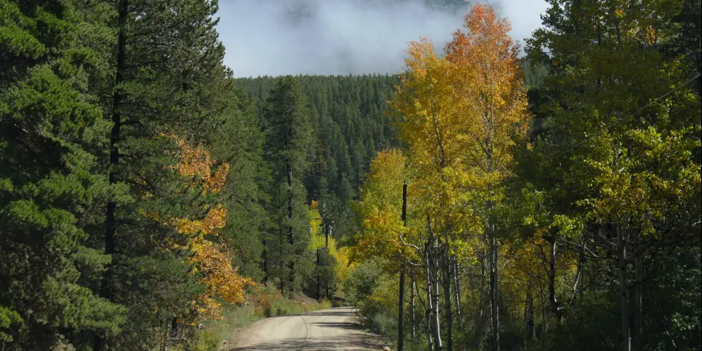 Colorado Springs to Golden Gate Canyon State Park Road Trip