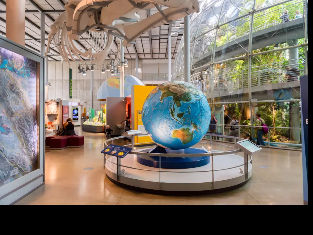 The interior of the California Academy of Sciences natural history museum