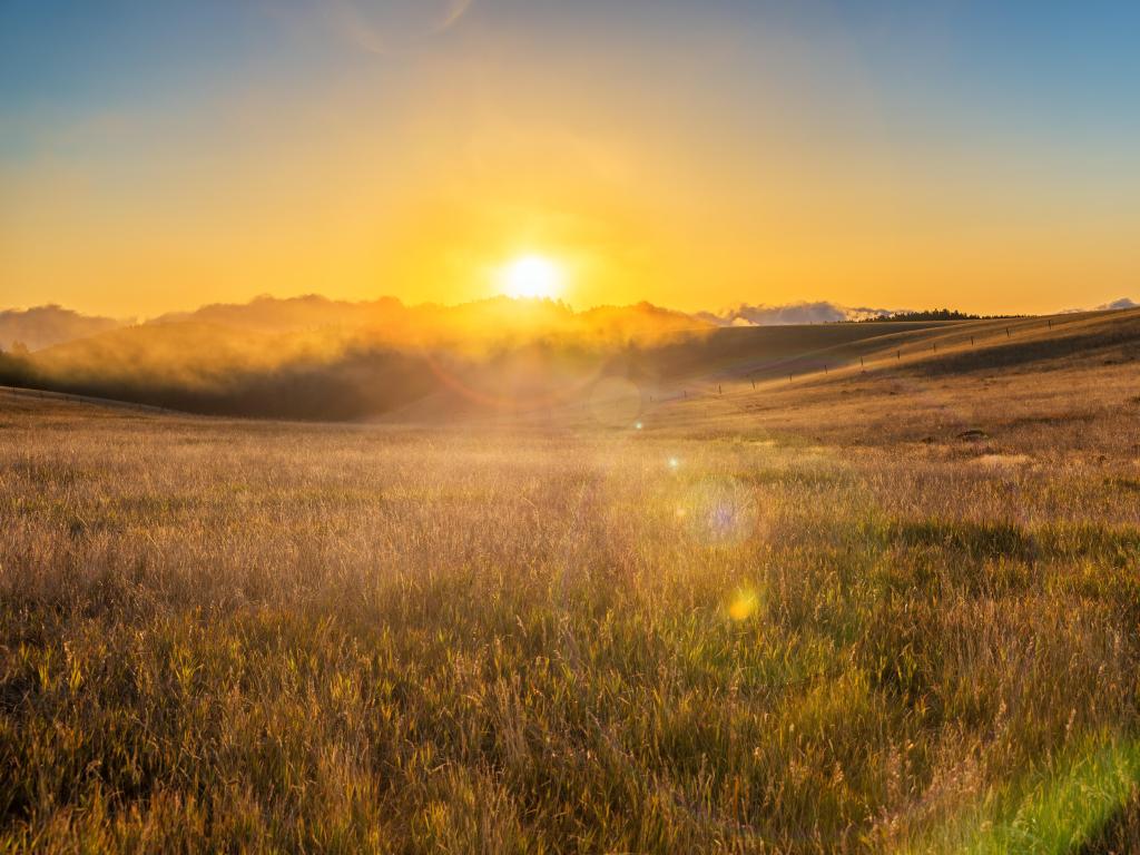 Sunrise and lens flare over a field near Buffalo, Wyoming