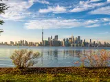 grey blue water of Lake Ontario with panoramic view of Toronto skyscrapers and rust coloured leaves with a lightly clouded sky