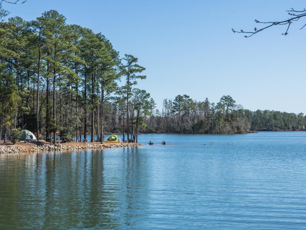 Tents set up for camping on the shores of Lake Murray, under tall trees