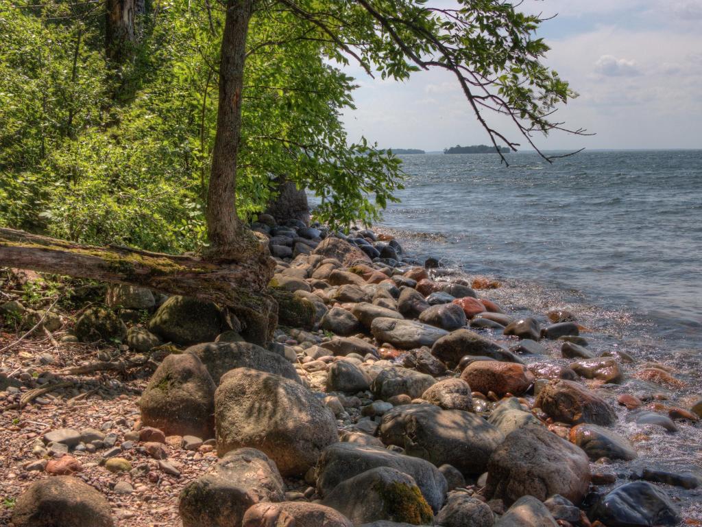 Leech Lake Native American Reservation, Northern Minnesota taken at Bowstring Lake with rocks and a fallen tree in the foreground and the lake leading into the distance on a sunny day.