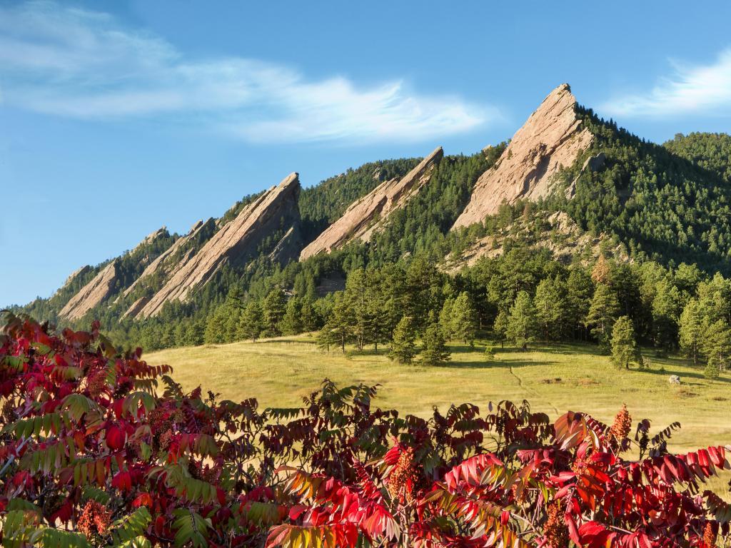 Boulder, Colorado, USA with a view of the Rocky Mountains with fall foliage and red leaves in the foreground.