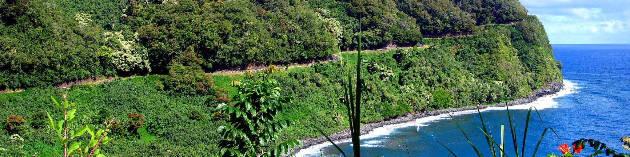 Winding nature of Road to Hana, nestled in the lush hillside with coastal views, Maui, Hawaii