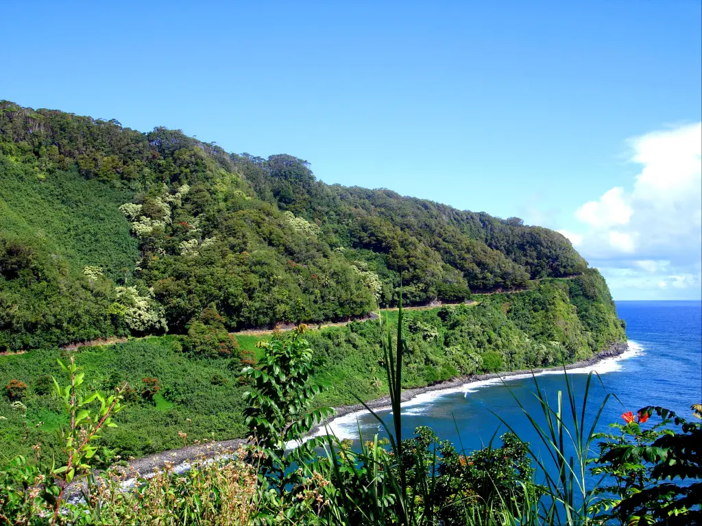 Winding nature of Road to Hana, nestled in the lush hillside with coastal views, Maui, Hawaii