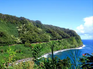 Winding nature of Road to Hana, nestled in the lush hillside with coastal views, Maui, Hawaii