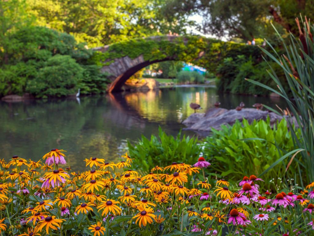 Beautiful colorful spring flowers with the famous Gapstow Bridge in the distance