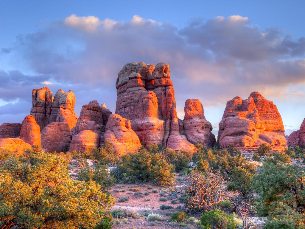 Sunset lit spires in Canyonlands National Park.