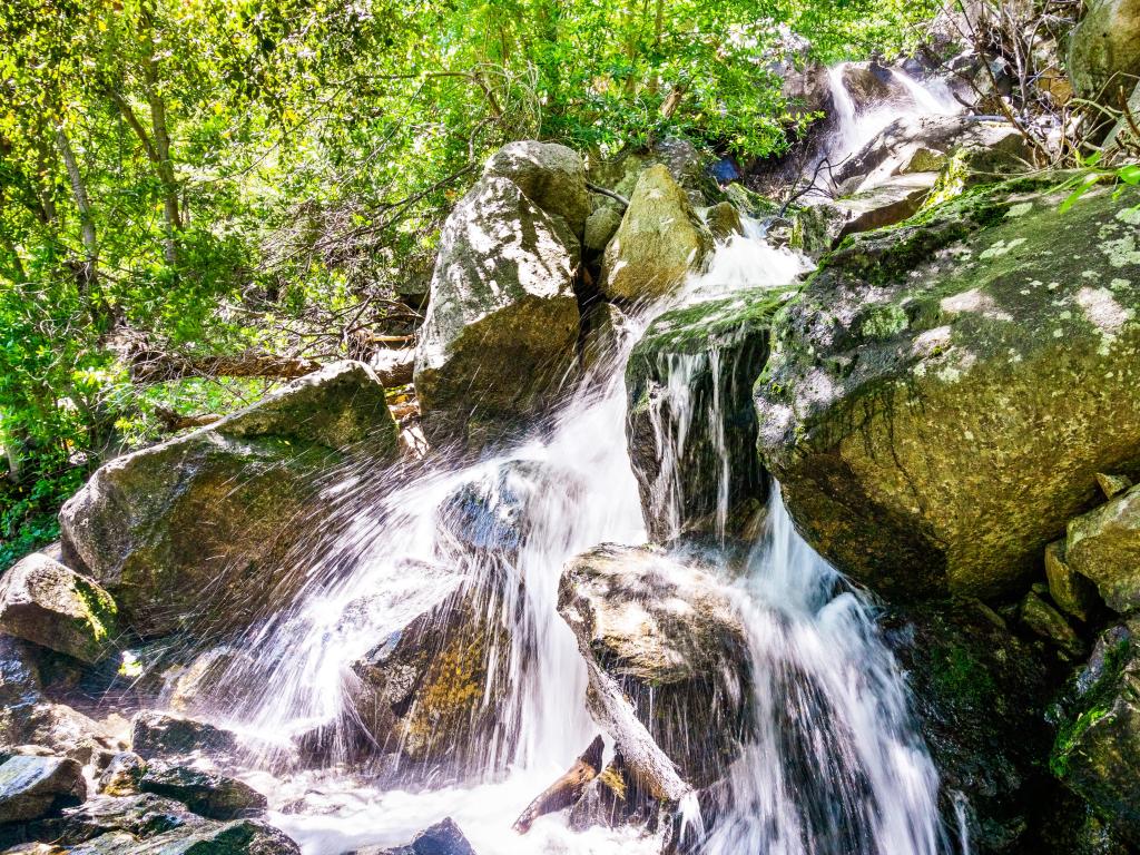 Water from the waterfall flowing through rock boulders, surrounded by trees