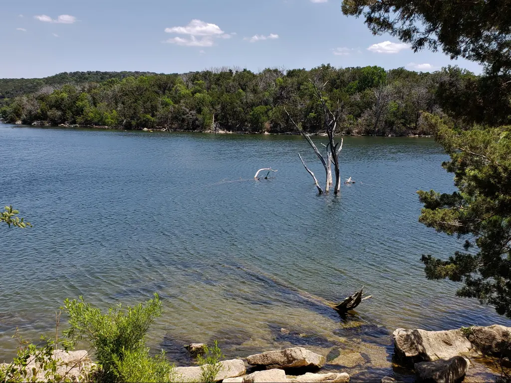 The tree-lined shoreline of Possum Kingdom Lake in Texas.