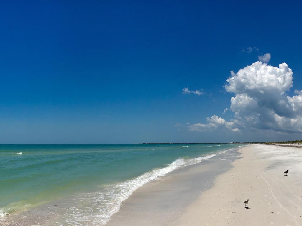 Caladesi island, Florida, USA White sand beach with blue green waves in Caladesi island