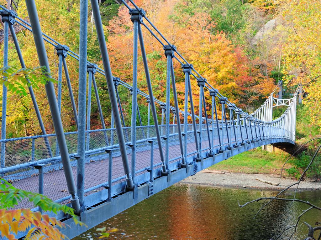 Footbridge stretches over steep-sided river valley with red, gold and green fall foliage 