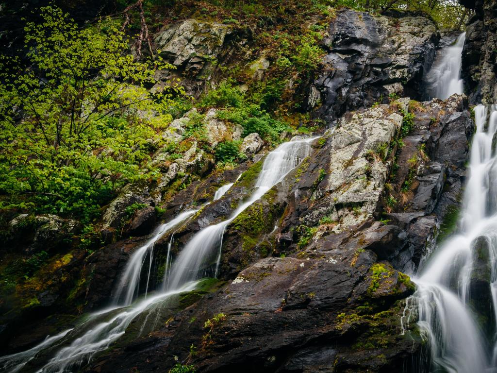 South River Falls, in Shenandoah National Park, Virginia, USA with an impressive waterfall, rocks and tree surrounding it.