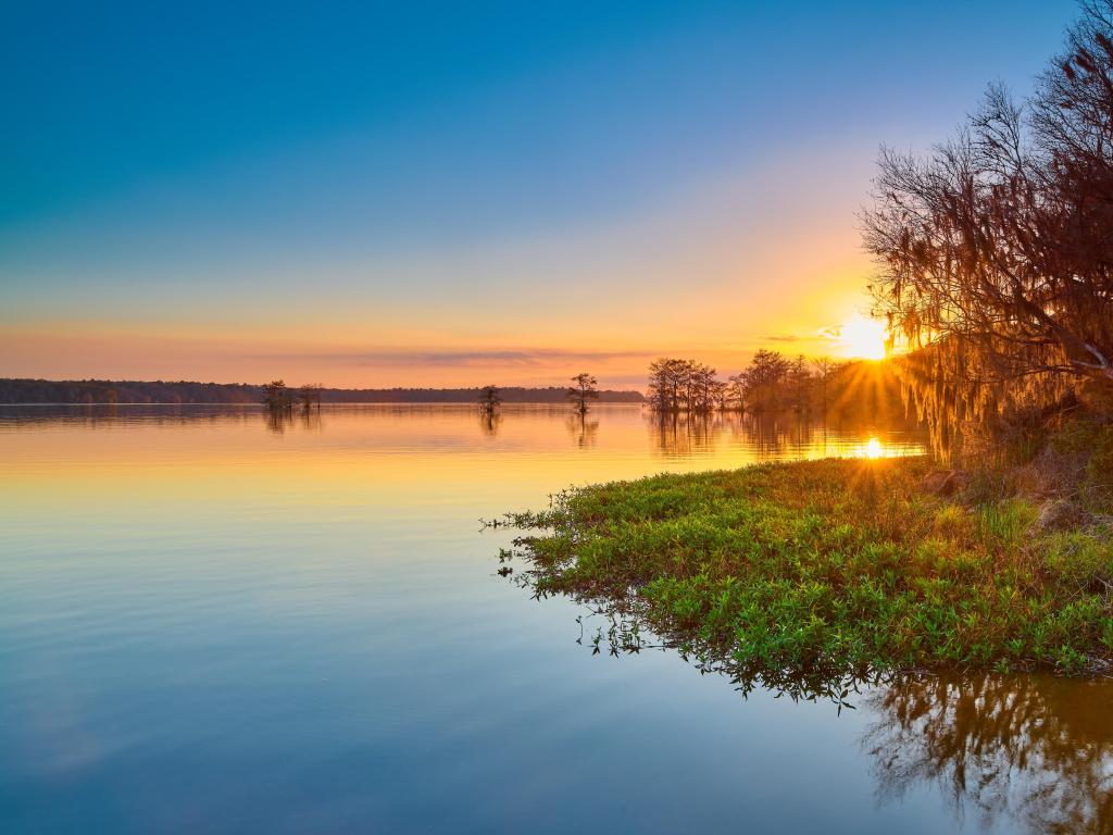 Lake Talquin State Park, Tallahassee, USA at sunset with trees and greenery in the foreground and trees in the far distance. 