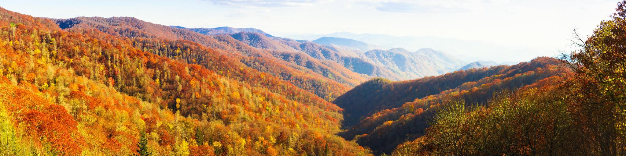 Panoramic view of the Great Smoky Mountains National Park in Tennessee