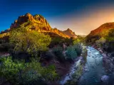 Zion National Park in Autumn with a river running alongside, trees in the foreground and mountains in the background.