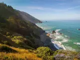 Steep woodlands and coastal views across Redwood National Park in California