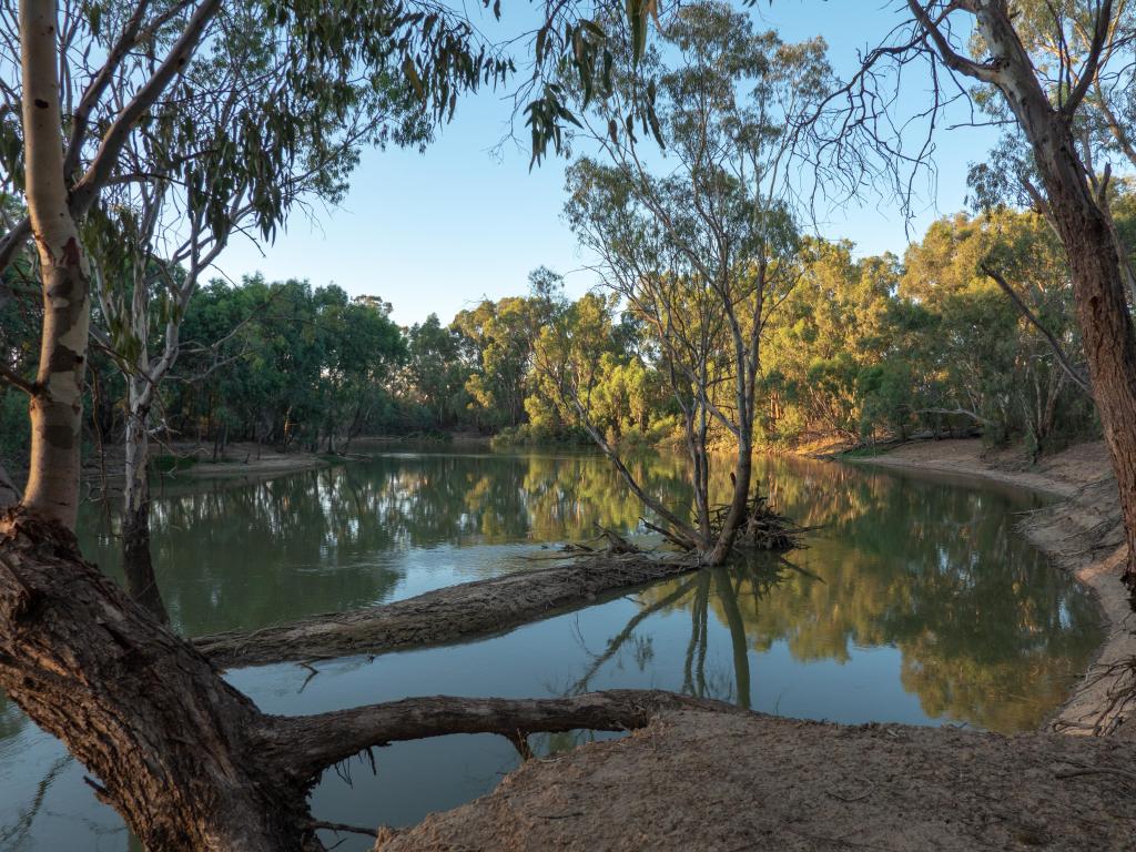 Calm river with gum trees on low banks