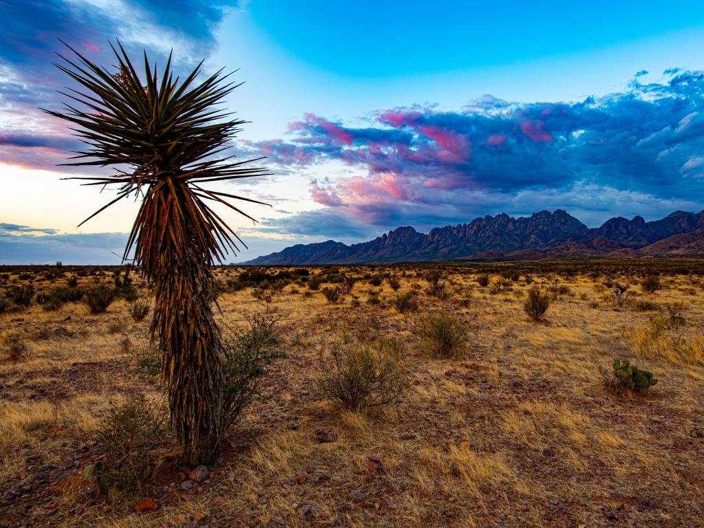 Late afternoon sun on the Organ Mountains near Las Cruces, New Mexico