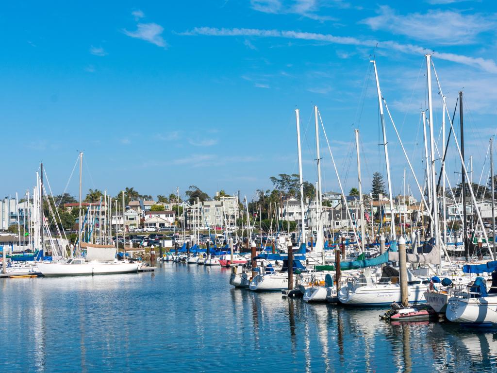 Small boats are moored in Santa Cruz Harbour with houses in the background and a blue sky