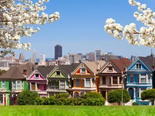 Painted Ladies, a group of famous colorful houses, on a spring day with blossoming trees in the foreground