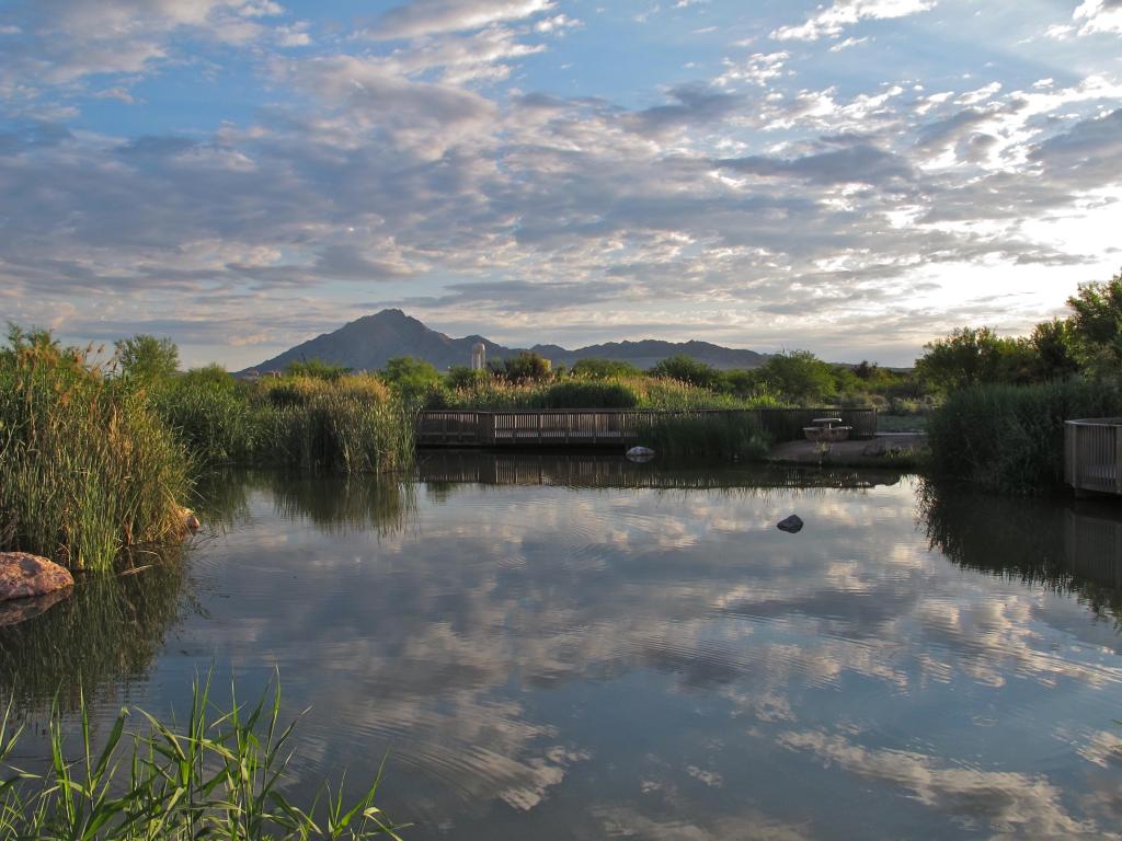 Clark County Wetlands Park, Las Vegas, Nevada, USA with mirror reflections in the lake in the foreground and grasses and mountains in the distance.