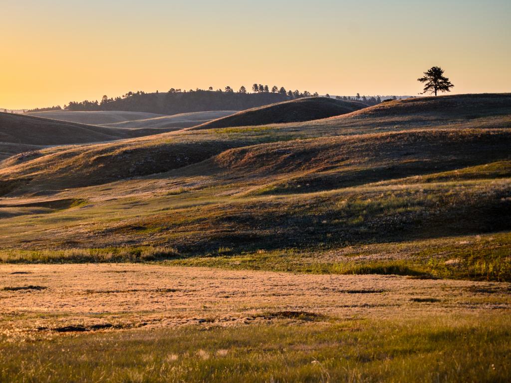 An image of the stunning landscape of Wind Cave National Park while the sun is up.