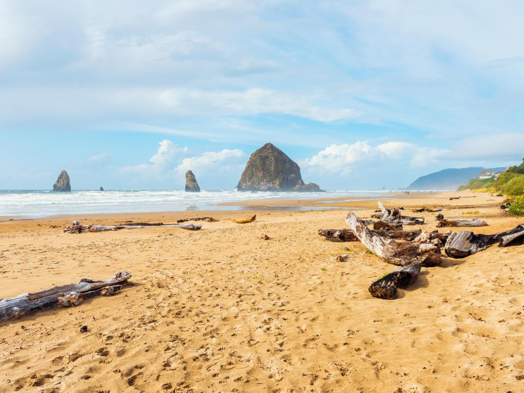 Cannon Beach, Oregon, USA with driftwood on the beach in the foreground and rocky formations and the sea in the distance on a sunny day.