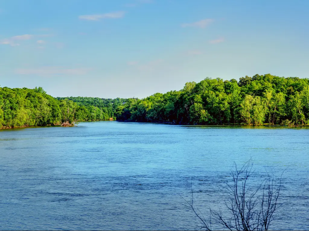 The wide Catawba River with lush green forest either side