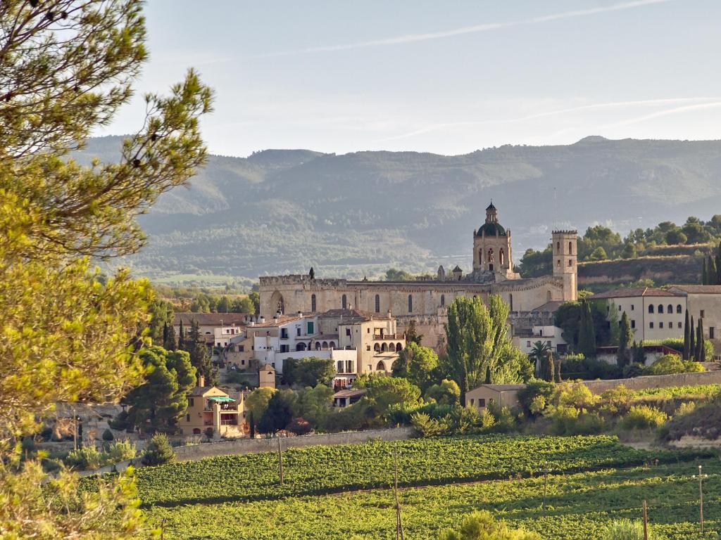 Santes Creus, Spain with a view of the Monastery of Santa Maria de Santes Creus surrounded by greenery on a sunny day.