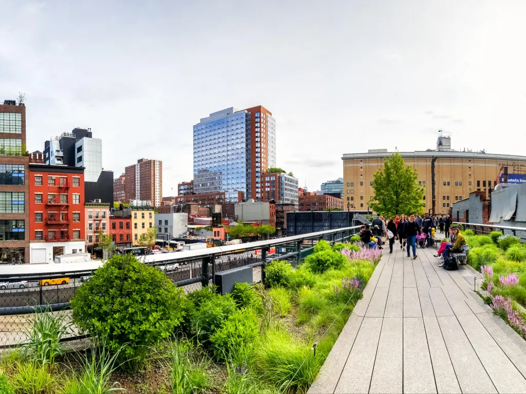 View of High Line walkway, surrounded by gardens and the office buildings in the background