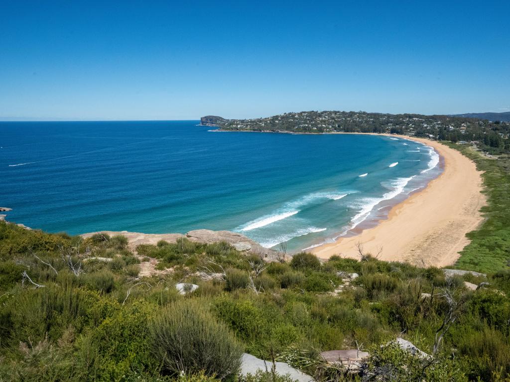 Palm Beach, Sydney with a long stretch of beach surrounded by green land and a calm sea above a blue sky.
