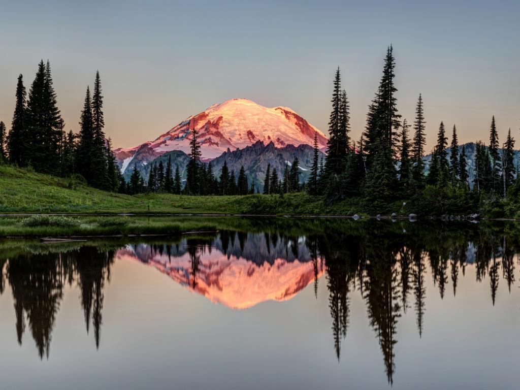 The snow-capped tip of Mount Rainier glows in the sunrise at Mt Rainier National Park