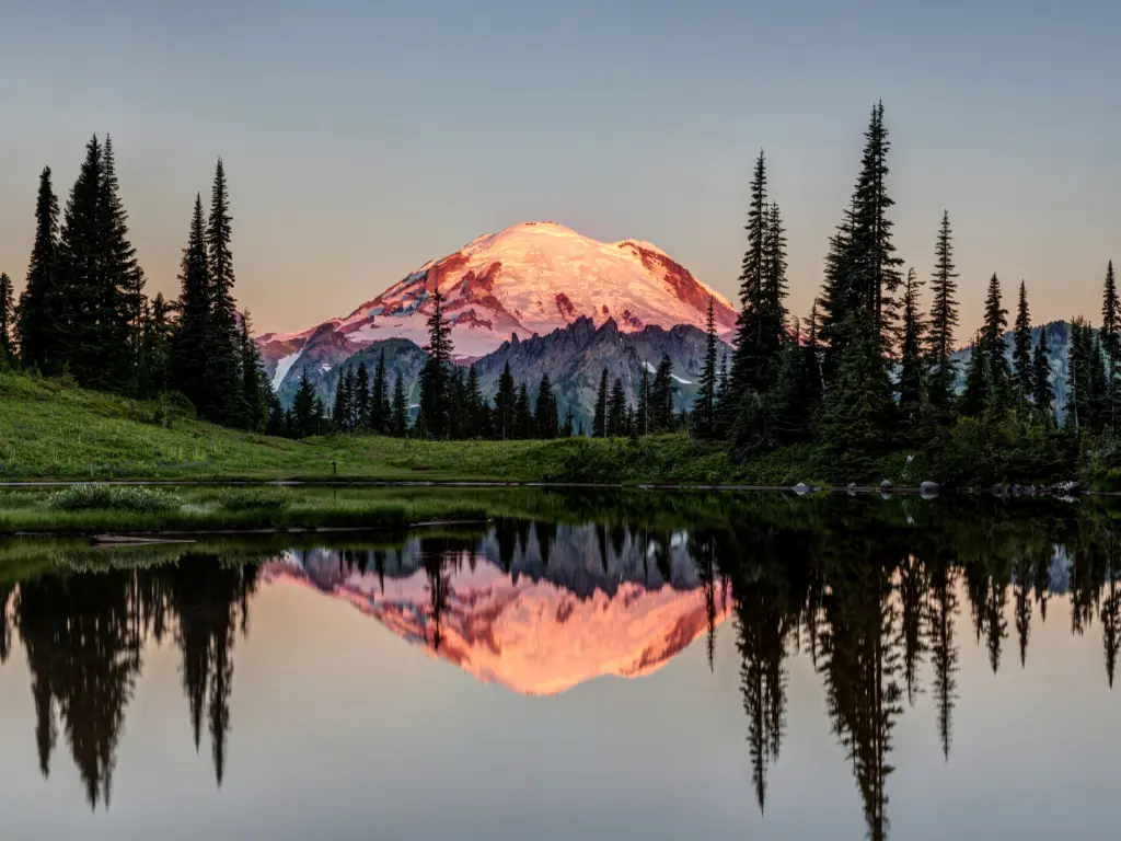 The snow-capped tip of Mount Rainier glows in the sunrise at Mt Rainier National Park