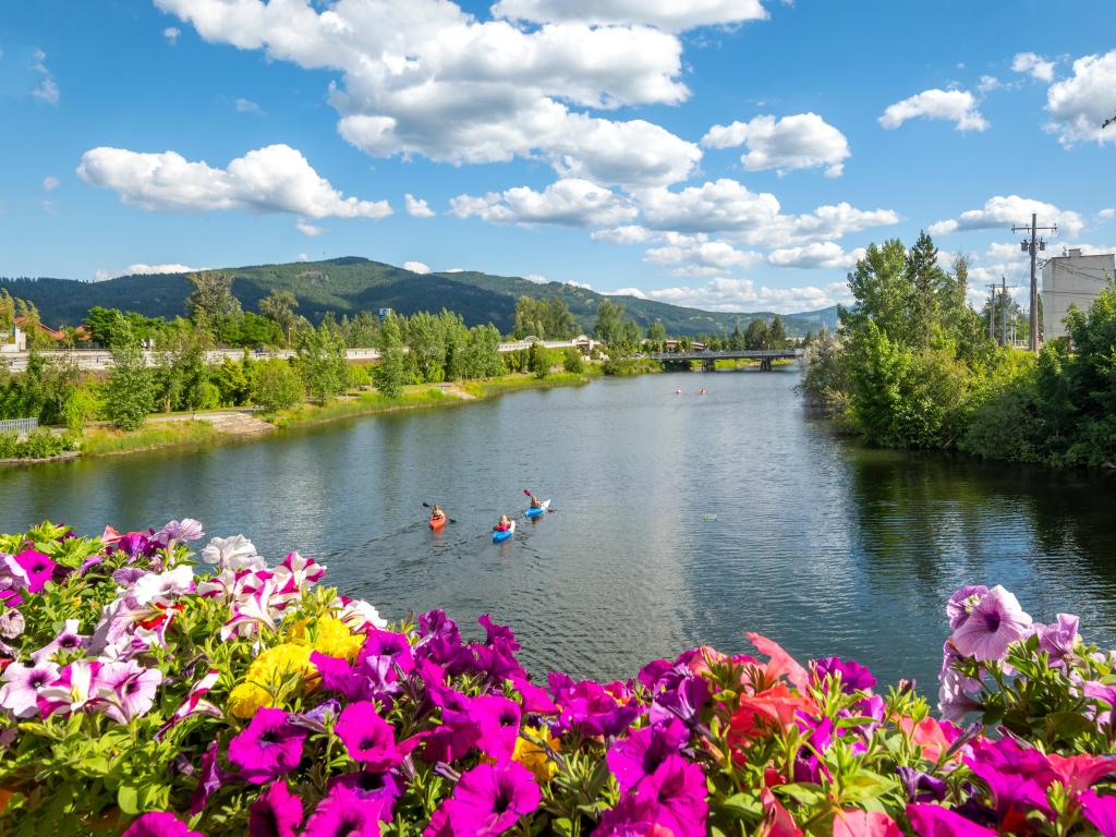 Lake Pend Oreille, Sandpoint, Idaho, USA with a group of kayakers enjoying a beautiful summer day on Sand Creek River and Lake Pend Oreille in the downtown area and flowers in the foreground.