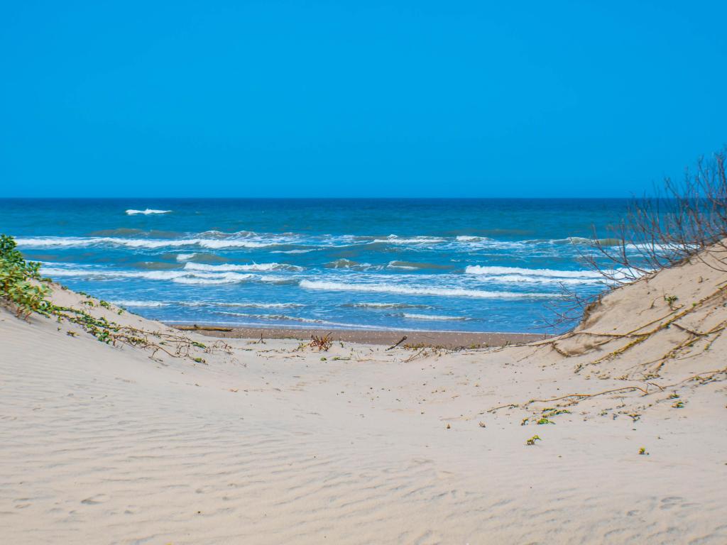 A beautiful soft and fine sandy beach along the gulf coast of South Padre Island, Texas