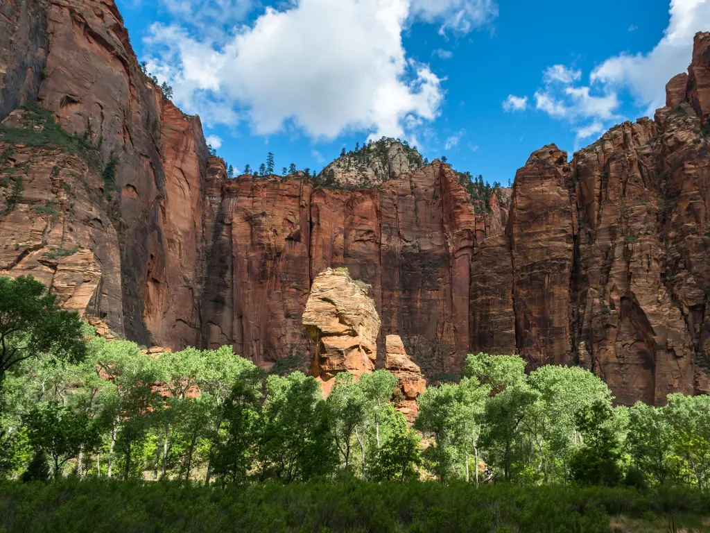 View of the towering Temple of Sinawava surrounded by lush trees along the base of the rocks, at Zion National Park, Utah