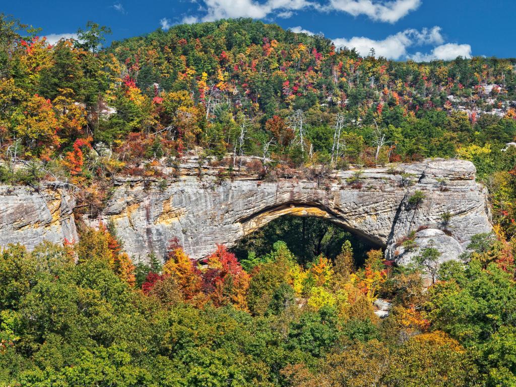 Natural Arch Scenic Area At Parkers Lake Kentucky In The Daniel Boone National Forest