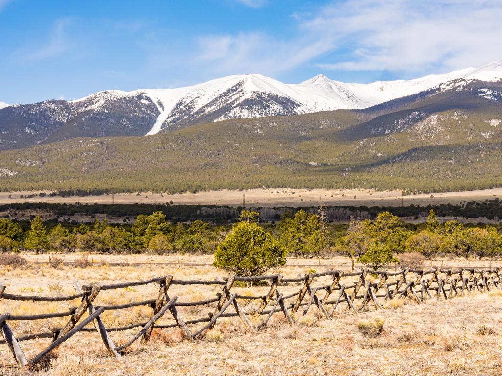 Snow covered peaks in the background with a wooden fence around a yellow field