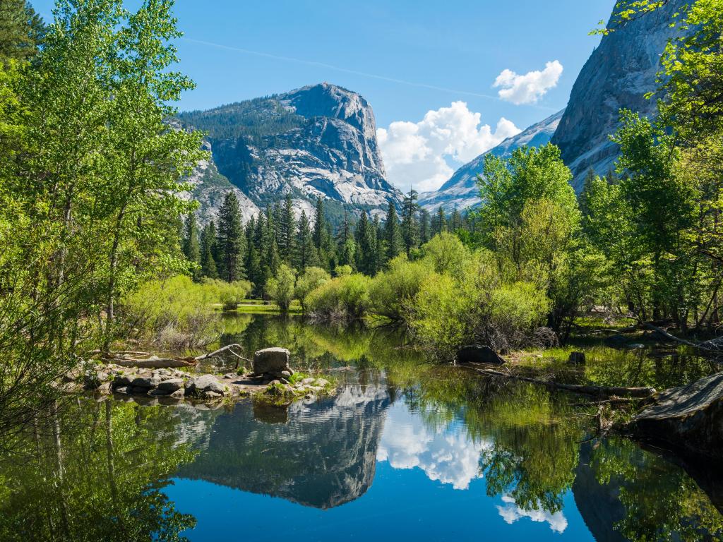 Half Dome reflecting over Mirror Lake surrounded by trees, blue sky