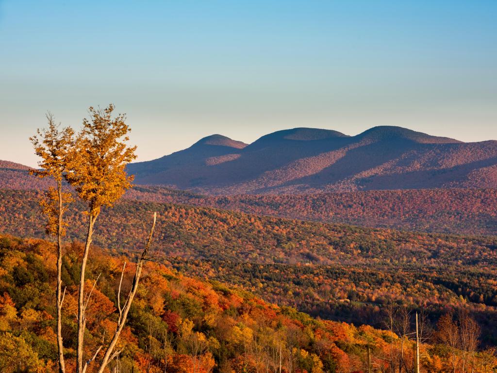 Blackhead Range in the Catskill Mountains of New York taken during fall on a clear day with mountains in the distance. 