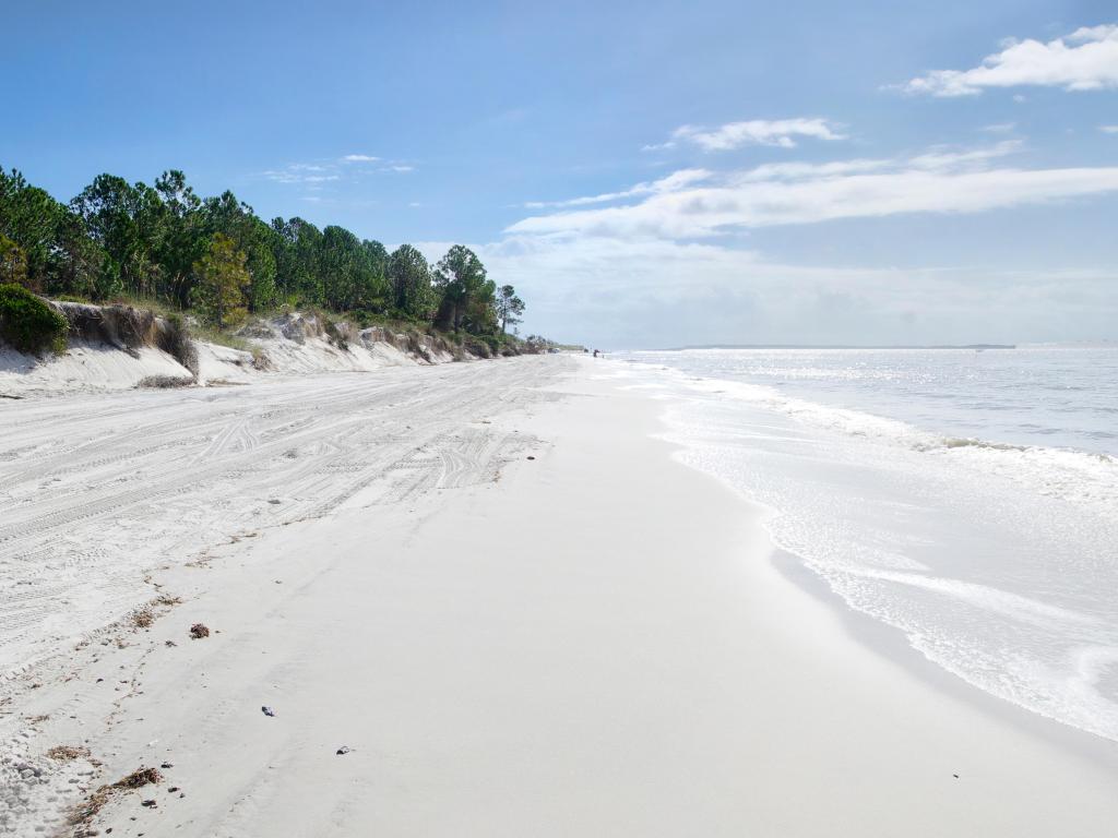 Fernandina Beach, Florida, USA with white sands, trees lining the horizon and a clear sea taken on a sunny day.