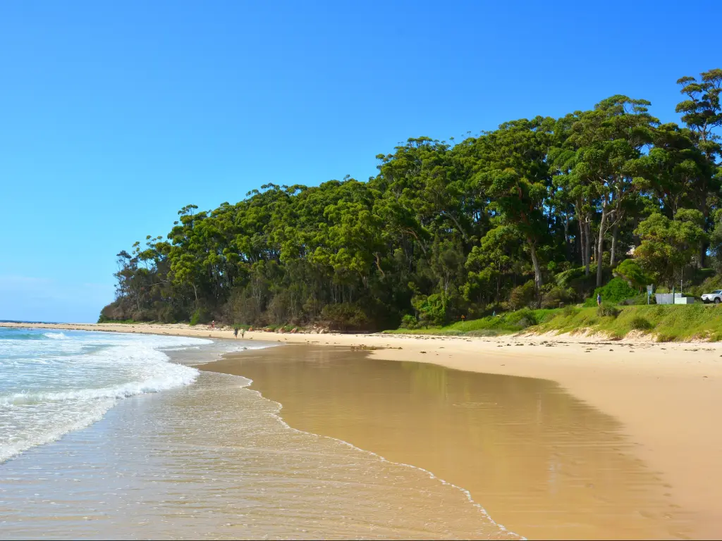 The pristine Mollymook Beach in Ulladulla, New South Wales, Australia