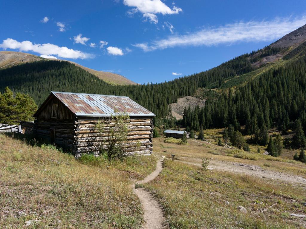 An abandoned, derelict wooden cabin stands on the lush hillside in Independence Ghost Town, Colorado